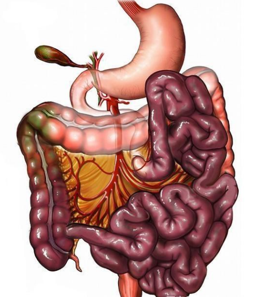 腸息肉者，排便出現3個(gè)異常，十有八九息肉已變成“癌”